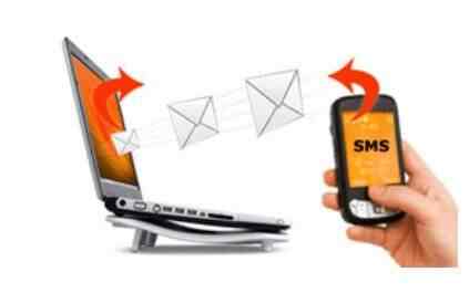 Tex Infotech Pvt Ltd - 3