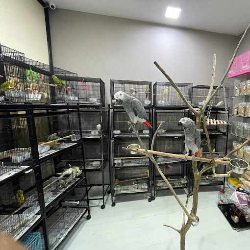 Tamilnadu Painters painting contractors in Coimbatore