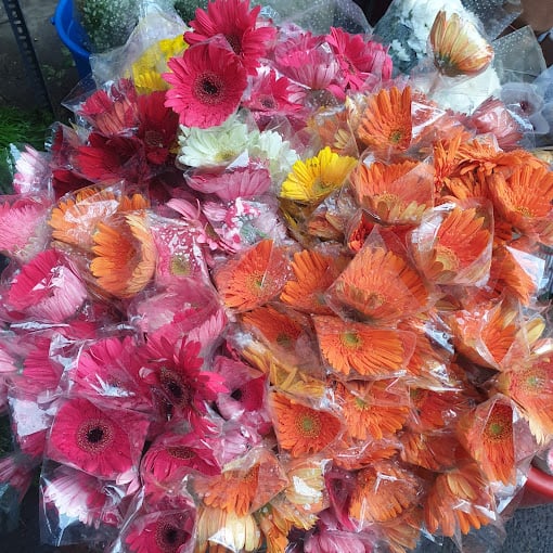 Design Brandable - 2