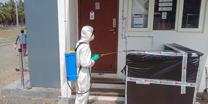 Professional Pest Control Services