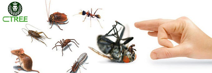 Ctree Pest Control Service Coimbatore - 5