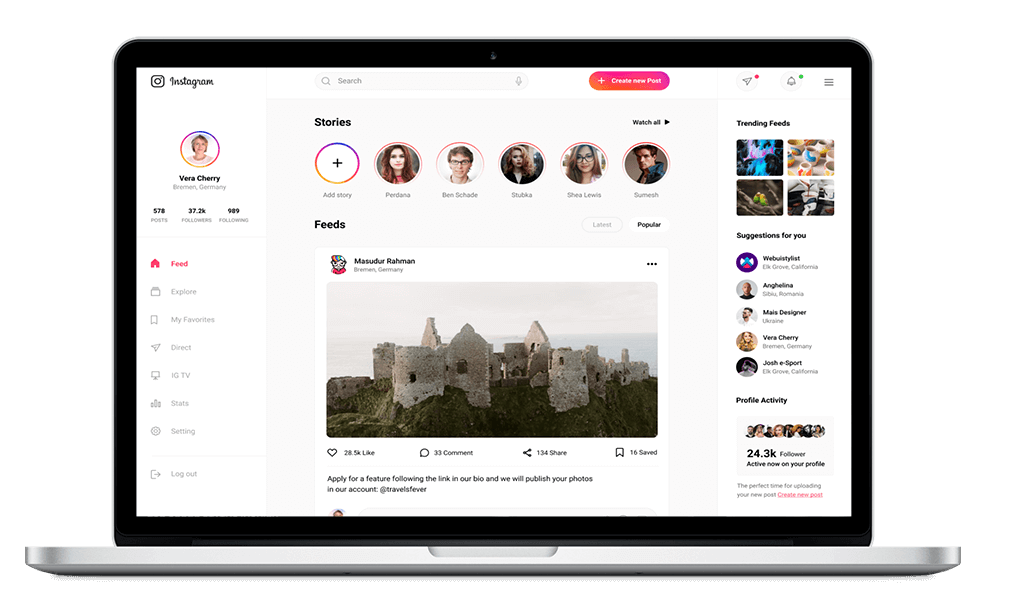 Insta Web Solution - 1