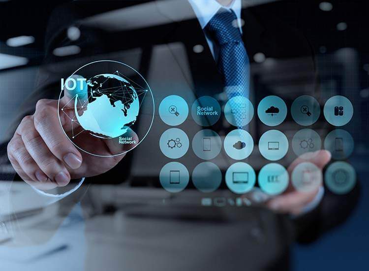 Pallavi Rane - Website Developer - 3