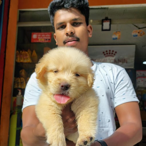 Quwality Pets - 4