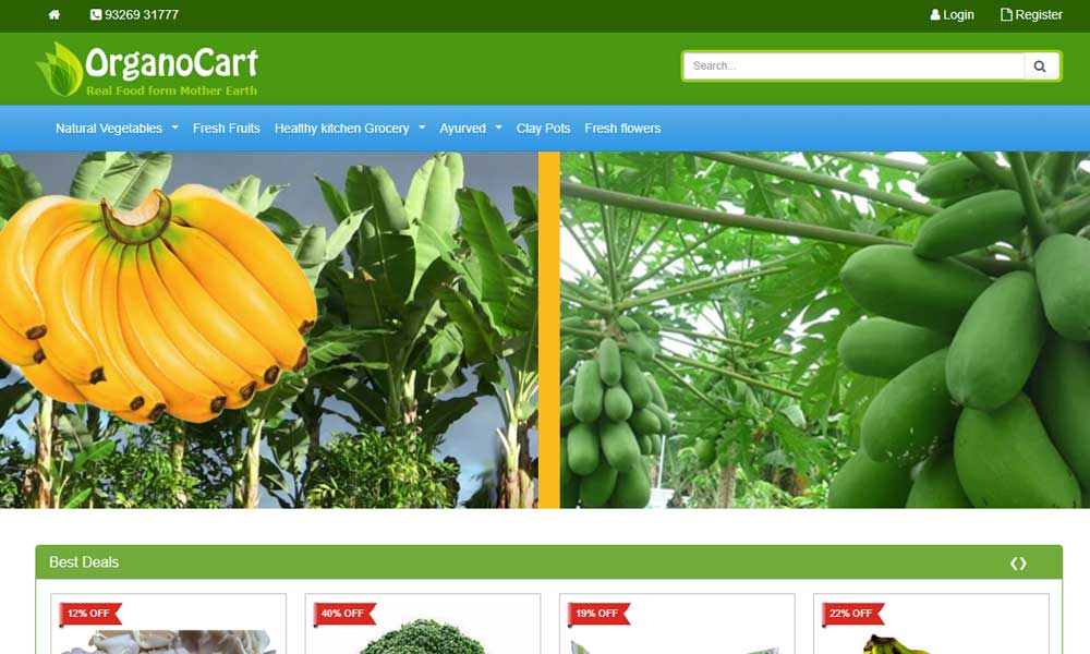 Rucha Infotech Website Software Developer - 2