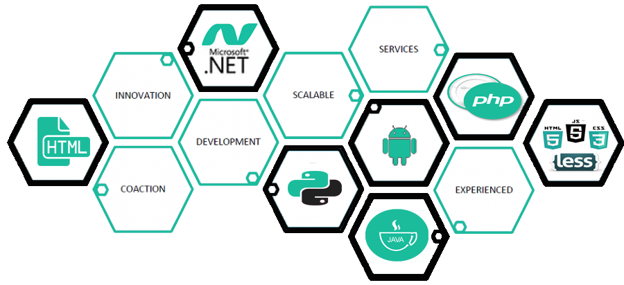 InfoDoer Technology - 3