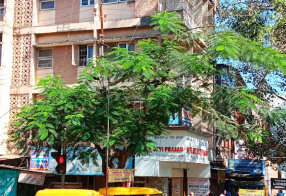 Radisson Blu Hotel Chennai City Centre - 4