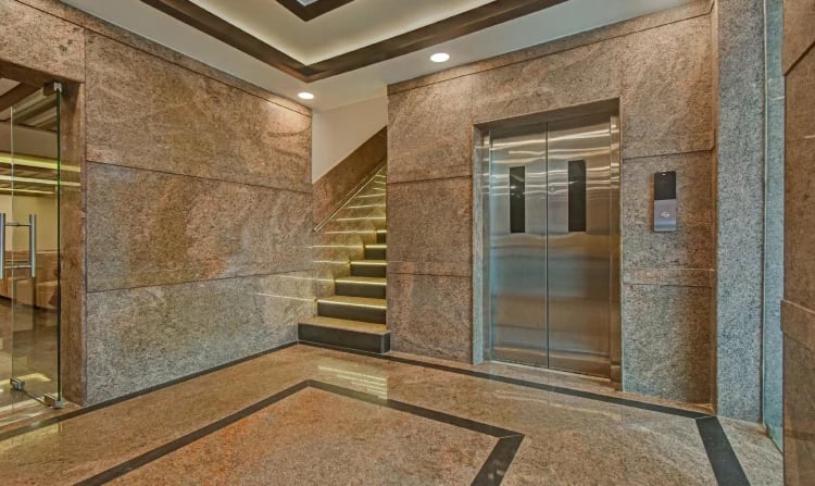 Treebo Trend Palm Tree - 2