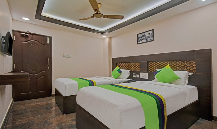 Treebo Trend Palm Tree - 4