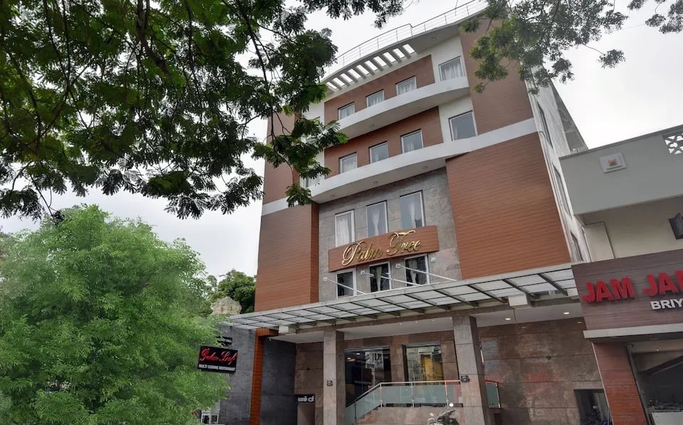 Treebo Trend Palm Tree