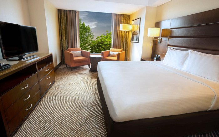 Hilton Garden Inn Trivandrum - 4