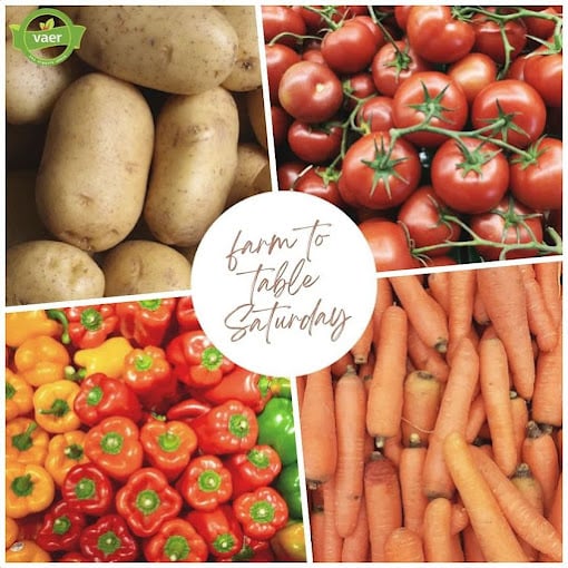 Biryani In Bucket - B.I.B RESTAURANT - 4