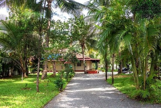 Palm Grove Serviced Villa