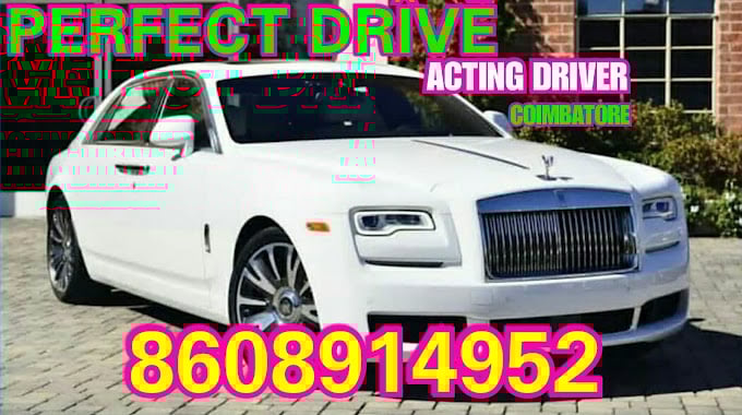 PERFECT DRIVE acting driver service - 1