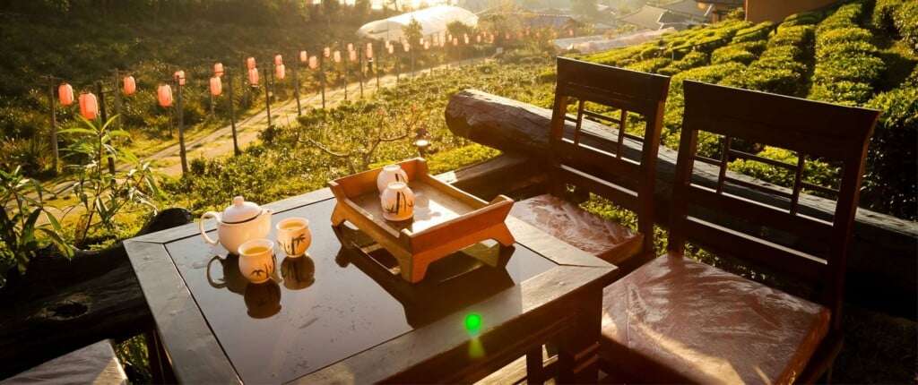 Mango Hill Central Ooty - 3