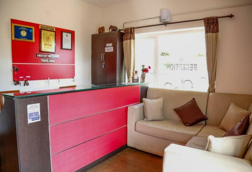 PARADISE PERFECT - 2