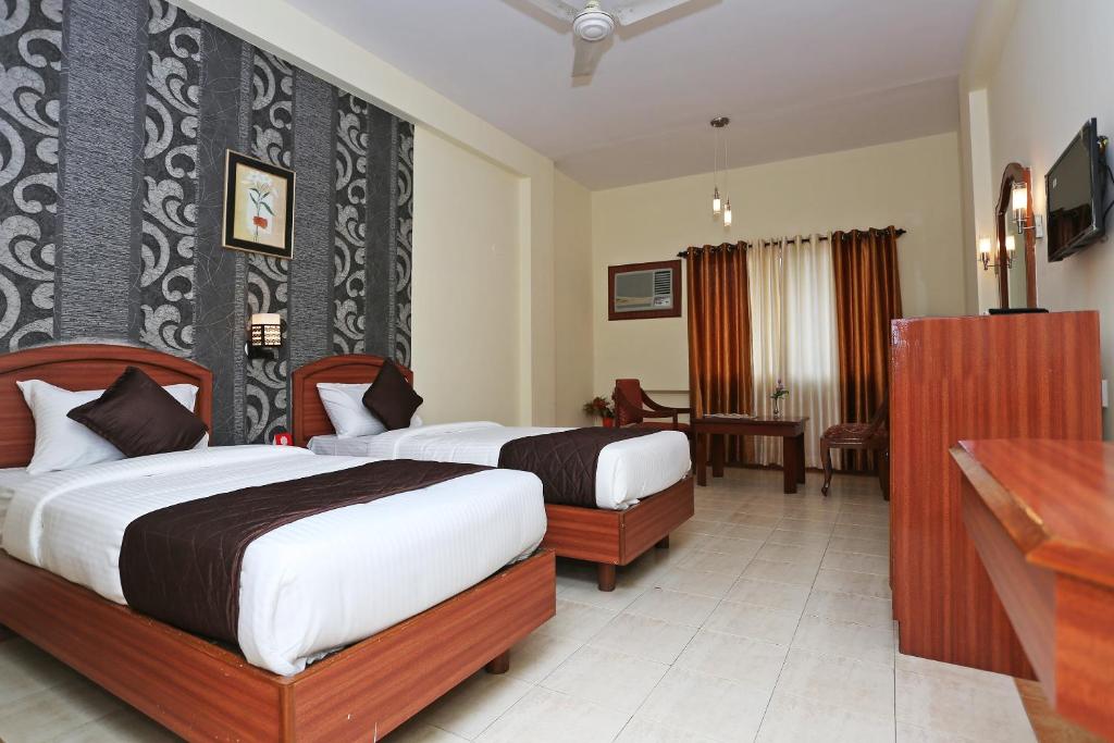 Collection O 9133 The Olive Star - 4