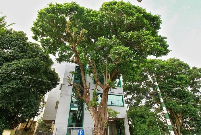 Nityotsava Residency