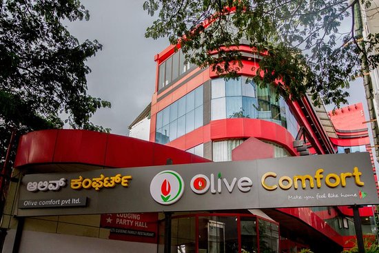 Collection O 10721 Olive Comforts