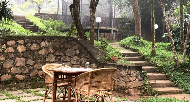 Raindrops Resorts Wayanad - 2