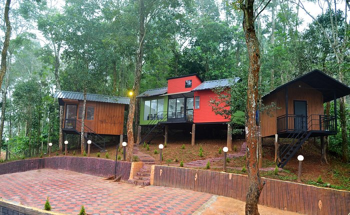 Jungle Beats Resorts - 2