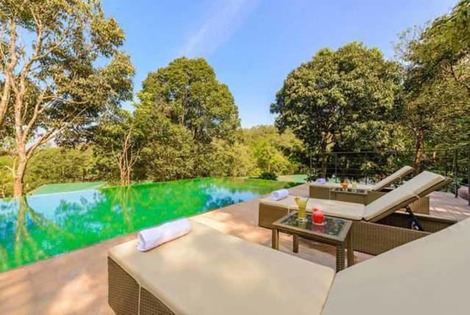 Wayanad Wild - CGH Earth - 2