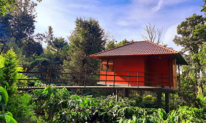 VMJ Wild Stay Hut stay - 2