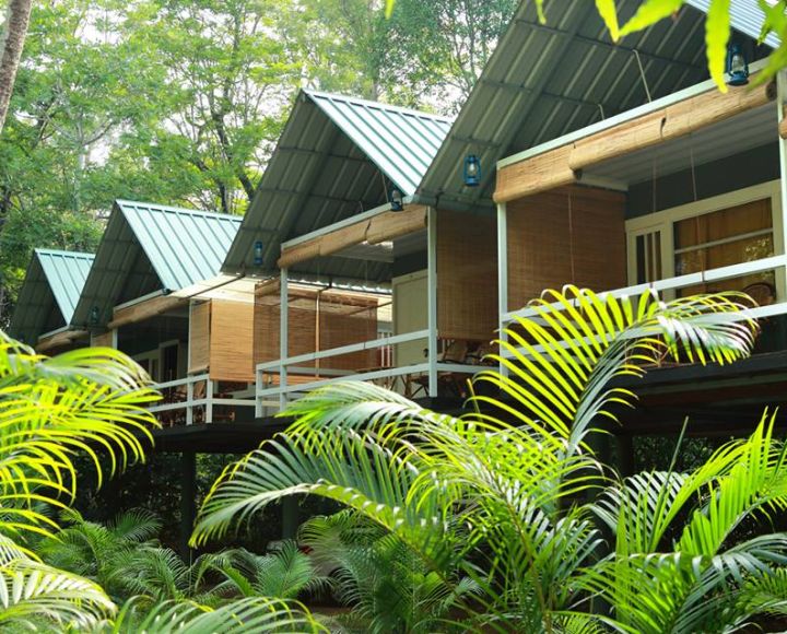 Wild Tusker Resort Muthanga