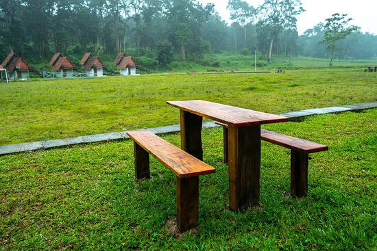 Emarald Wild West, Wayanad - 3