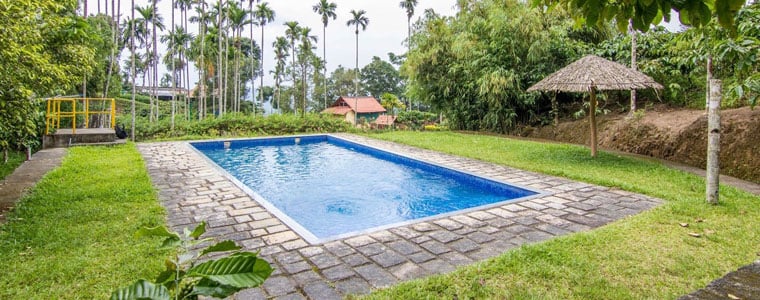 Marmalade Springs - 2