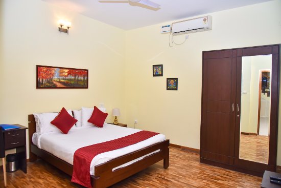 Mayflower Bluebell - 4