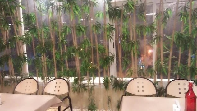 Hotel Navaratna Palace - 3