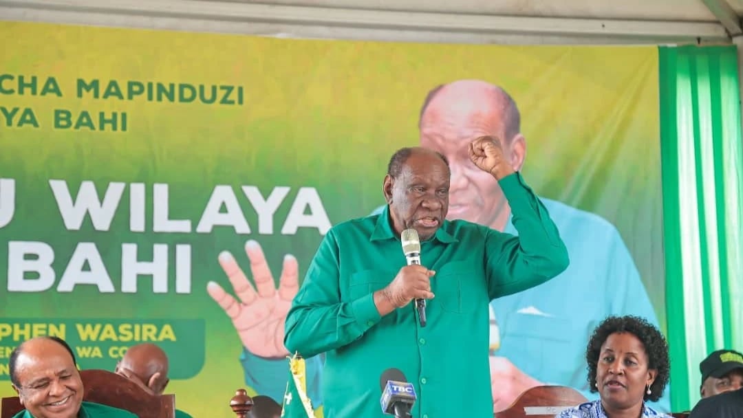Wasira Asema Muungano ni Damu na Historia, Atoa Wito Kulindwa Kwa Nguvu Zote
