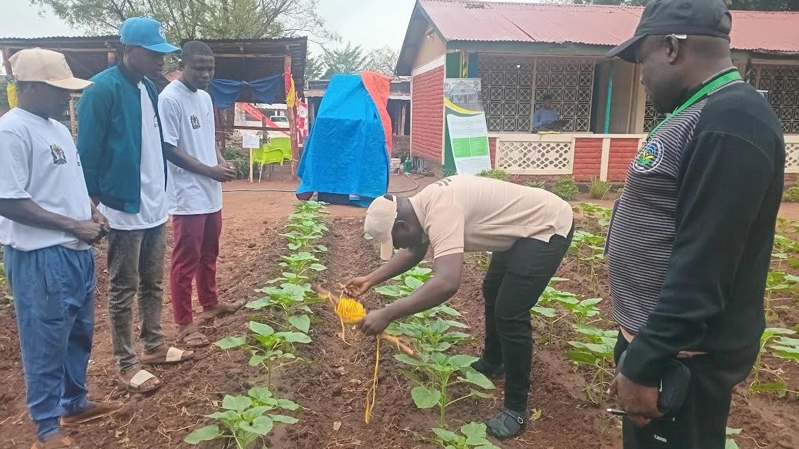 Chalamila Awasisitiza Wakulima wawekeze Katika Kilimo Chenye Tija na Usindikaji Mazao Nanenane