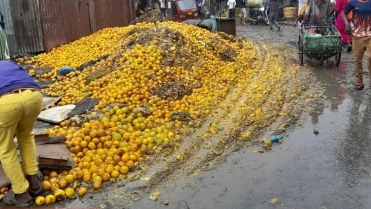 Mkakati Kabambe Kuinusuru Tanga na Hasara ya Machungwa