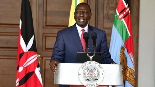 Baada ya Vita ya Kisheria, Ruto Awateua 'Mabosi' Wapya wa IEBC, Safari ya Uchaguzi Yaanza
