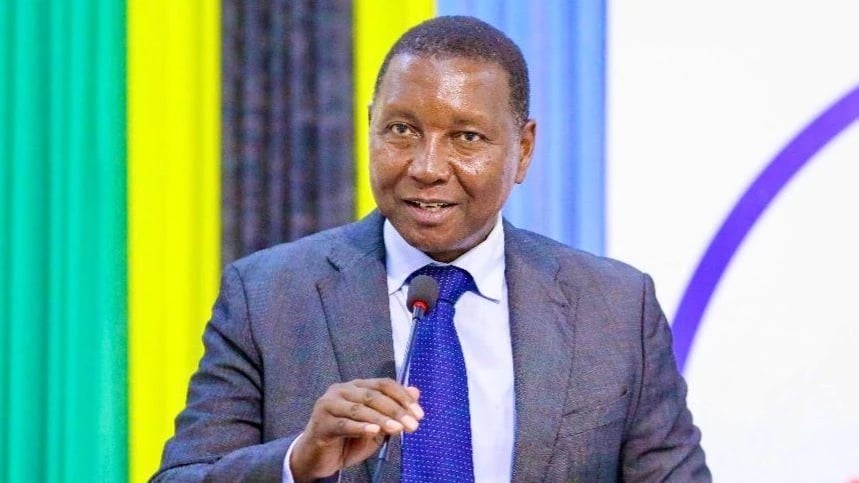 Dodoma Kumenoga: Profesa Mkenda Ataja 'Dawa' ya Ukosefu wa Ajira, Aigusa TAPSHA