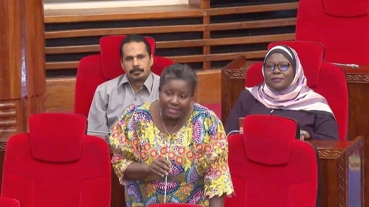 Mwakagenda Ataka Marekebisho ya Sheria ya Mikopo ya Asilimia 10, Wazee Wanufaike Zaidi