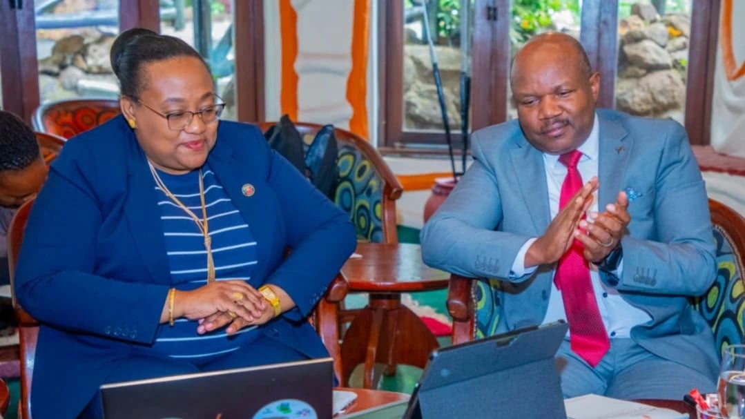 Tanzania Yamsimamia Tena Mkurugenzi wa LATF: Dkt. Pindi Chana Aongoza Kikao Muhimu cha Kimataifa