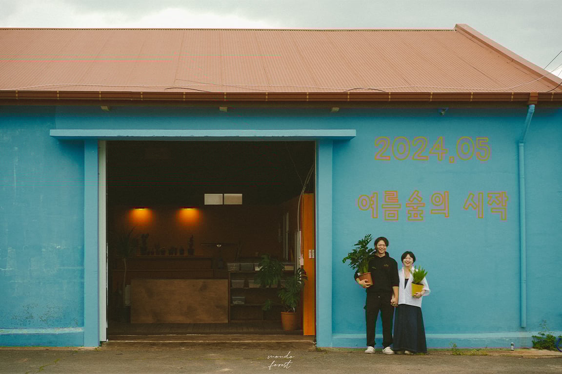 여름숲1