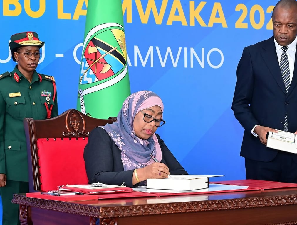 Historia Yandikwa Chamwino: Rais Samia Asaini Sheria za Tanzania Zilizofanyiwa Urekebu, Toleo la 2023