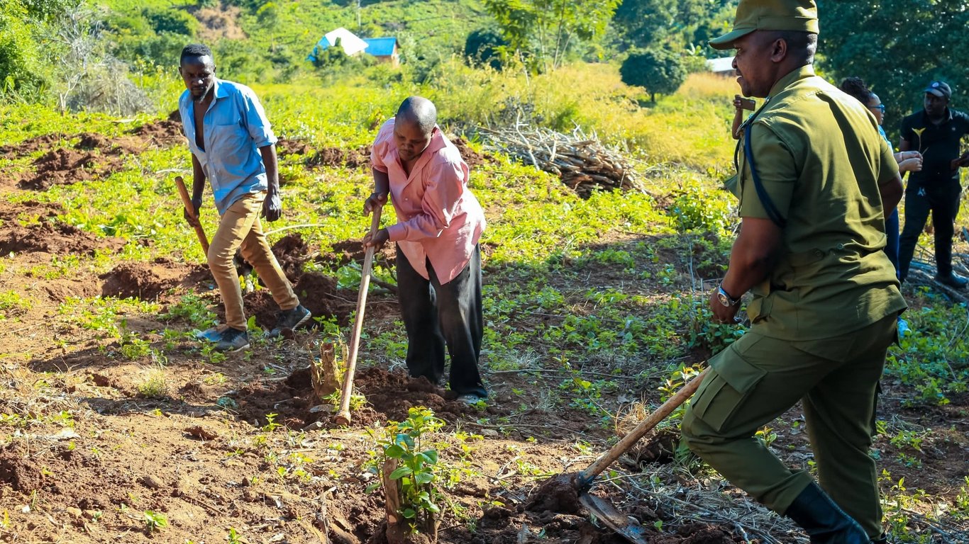 Wananchi Same Wajitolea Kung'oa Mirungi, Mapambano Dhidi ya Dawa za Kulevya Yakolezwa