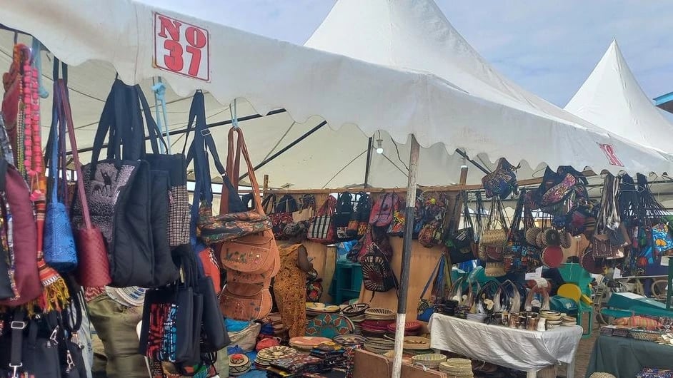 Mkuu wa Mkoa wa Songwe Awataka Wananchi Kuwafichua Wakwepaji Kodi na Wavuja Sheria