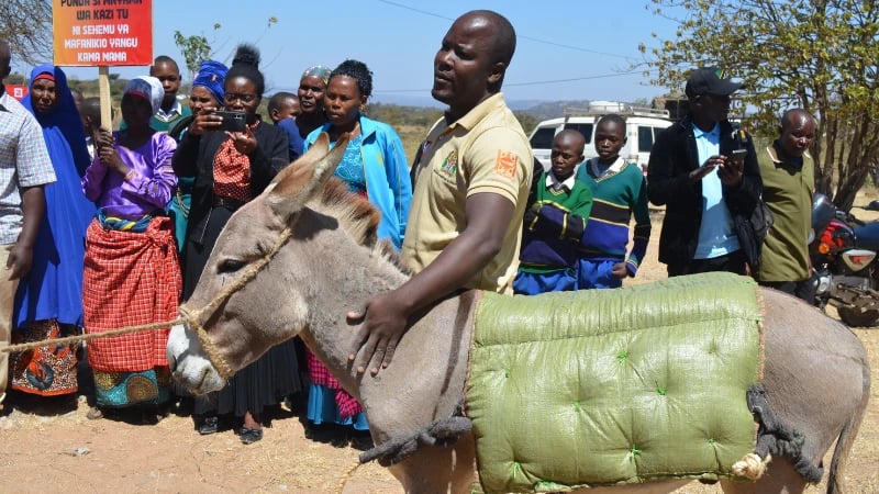 Singida Waipongeza Serikali kwa Kufunga Viwanda vya Nyama ya Punda, Waahidi Kuendeleza Ustawi wa Wanyama Kazi