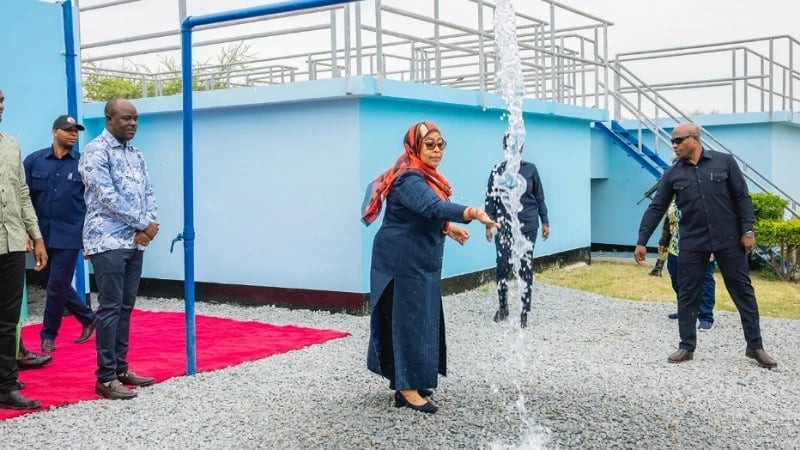 Rais Samia Ang'ara Kimataifa, Atwaa Tuzo ya Juu ya Sekta ya Maji Duniani