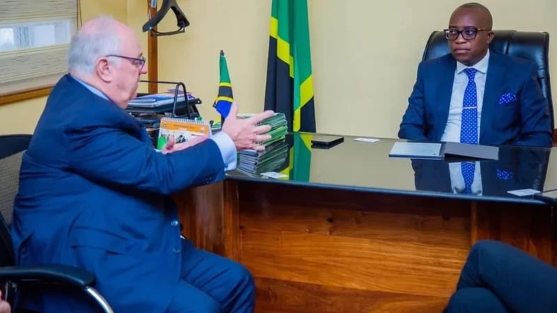 Neema Sengerema: Ujenzi wa Mgodi wa Dhahabu Nyanzaga Kuanza, TZS Trilioni 1.4 Kuwekezwa