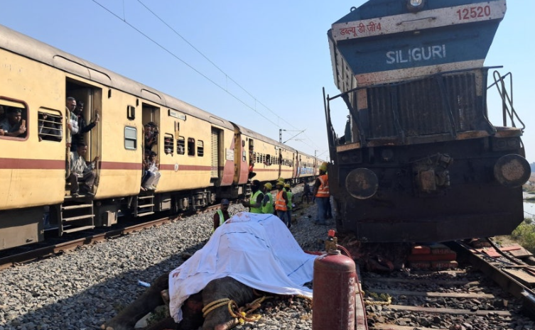 Simanzi India: Tembo Saba Wauawa Papo Hapo na Treni, Mabehewa Matano Yacha Njia