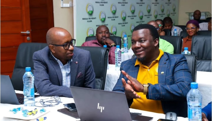 REA Yatarajia Kupeleka Umeme Vitongoji 16,500 Katika Miaka Mitatu