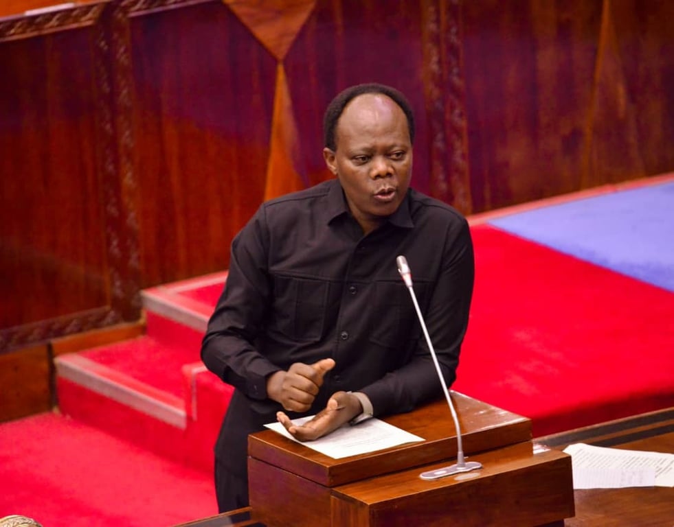 Serikali Yaimarisha Huduma za Figo kwa Kusambaza Mashine na Kupanua Vituo Nchini