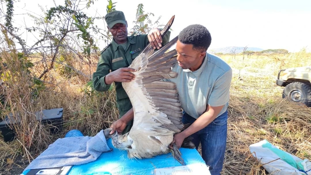 Tumbusi Wanakufa kwa Sumu, Wataalam Waonya Hatari Kubwa kwa Afya ya Mazingira na Binadamu